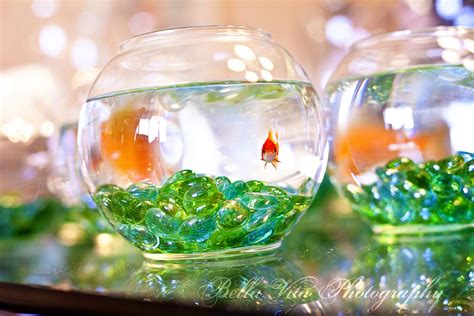decorative fish bowls for centerpieces.